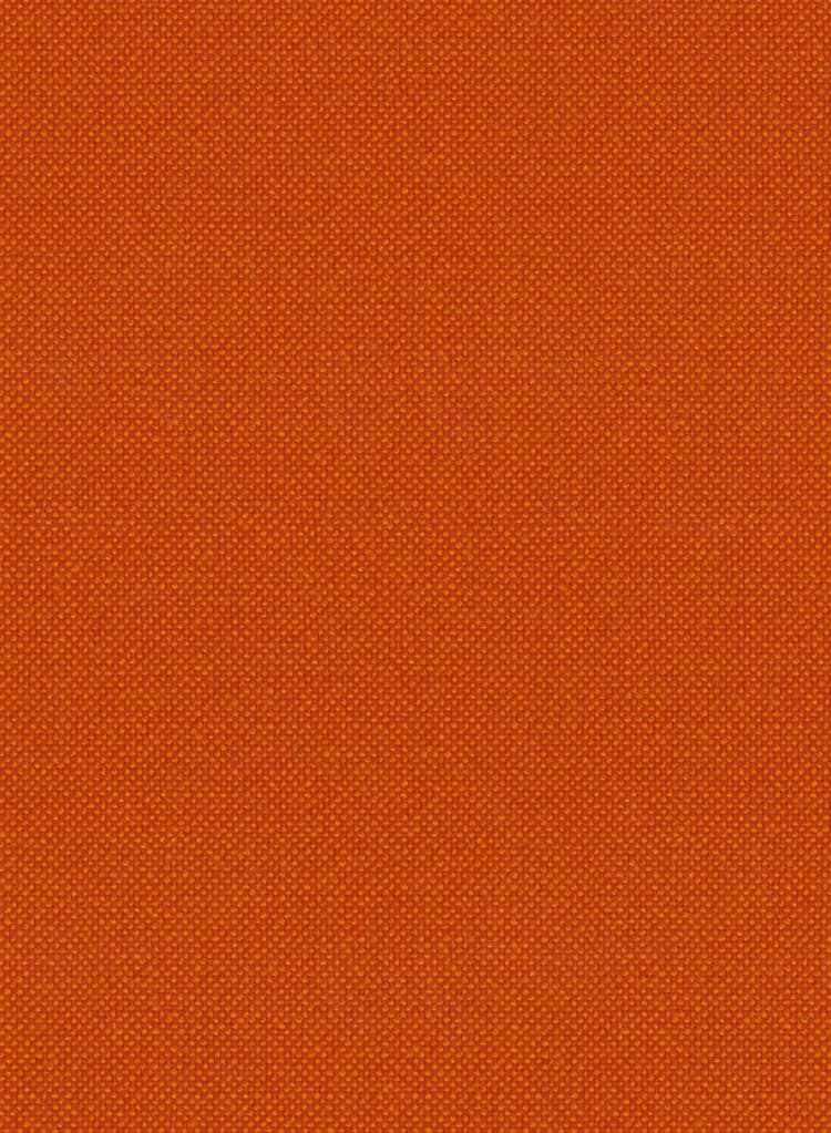 Thumbnail 34